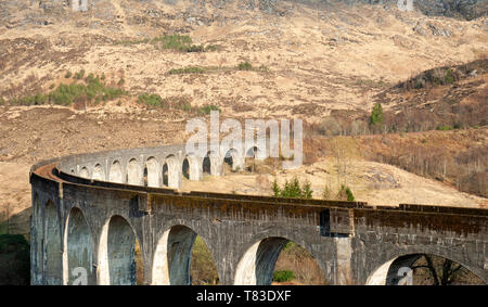 Viadotto Glenfinnan, costruito nel 1898, si trova a capo di Loch Shiel e porta la West Highland Line e patrimonio giacobita treno a vapore da Mallaig. Foto Stock