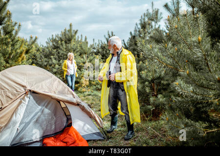 Coppia senior in giallo impermeabili al campeggio nelle giovani pineta Foto Stock