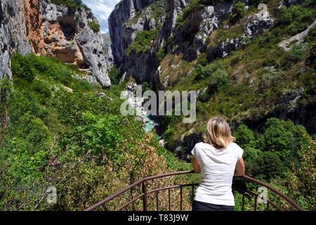 Francia, Alpes de Haute Provence, Parc Naturel Regional du Verdon, Rougon, Gran Canyon del Verdon all'uscita del corridoio Samson, visto dal Trescaire belvedere sul sentiero sentier Blanc Martel sulla GR4 Foto Stock