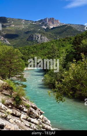 Francia, Alpes de Haute Provence, Parc Naturel Regional du Verdon, Chasteuil, il fiume Verdon e il Cadieres de Brandis affacciato in background Foto Stock