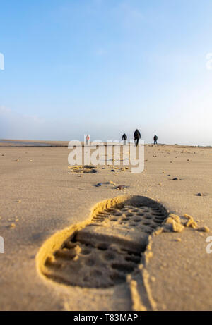 Frisone Orientali Isola del Mare del Nord Spiekeroog, il Wadden Sea National Park, in inverno, spiaggia a piedi, Germania, Foto Stock