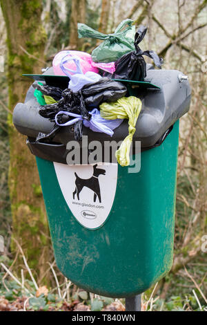 Un cane di troppo pieno bidone dei rifiuti, England, Regno Unito Foto Stock