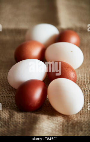 Bianco e Marrone di uova su tela di lino Foto Stock