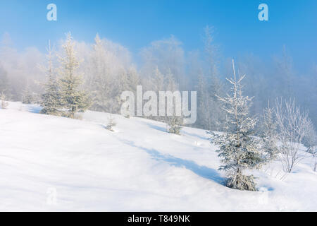 Paesaggio invernale con alberi di brina sulla collina. tempo nebbioso su una luminosa mattina di sole con cielo blu chiaro Foto Stock