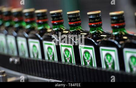 10 maggio 2019, Bassa Sassonia, Wolfenbüttel: Jägermeister bottiglie sono trasportati su un nastro trasportatore in espanso di recente impianto di riempimento del produttore di bevande Jägermeister. Con questa espansione, Jägermeister ha, secondo le proprie informazioni, realizzato uno dei più grandi spiriti di impianti di imbottigliamento in Europa. Foto: Christophe Gateau/dpa Foto Stock