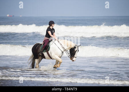 Saltburn dal mare, North Yorkshire, Regno Unito. 11 maggio 2019. Meteo: soleggiato e tranquillo, una mattinata perfetta per una corsa sulla spiaggia a Saltburn sulla North Yorkshire costa. Credito: Alan Dawson/Alamy Live News Foto Stock