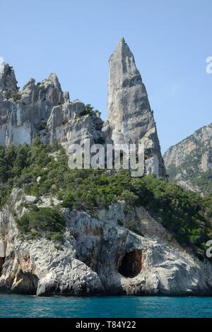 Monte Caroddi / Aguglia roccia calcarea pinnacle sulla costa, Cala Goloritze, Golfo di Orosei, il Parco Nazionale del Gennargentu, Baunei, Sardegna, Italia, Giugno Foto Stock