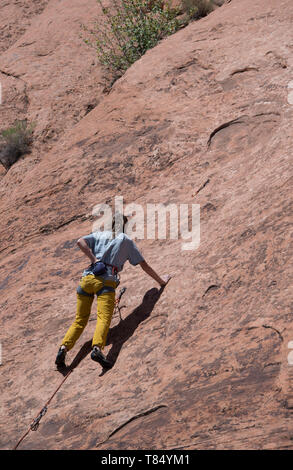 Donna scalatore di roccia che fissa pitoni e corde che salgono su scogliere di arenaria rossa a Moab, Utah, USA, 7 maggio 2019: Foto Stock