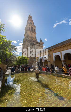 Torre campanaria e Corte di arance in moschea-cattedrale di Cordoba, Cattedrale Mezquita di Cordova, Andalusia, Spagna Foto Stock