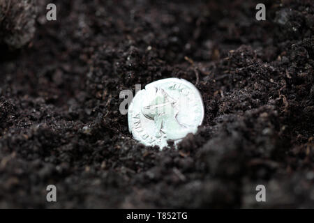 Denario di argento nel terreno Foto Stock