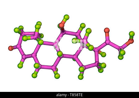 Il cortisolo, modello molecolare Foto Stock