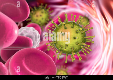 Cytomegaloviruses umana nel sangue, illustrazione Foto Stock