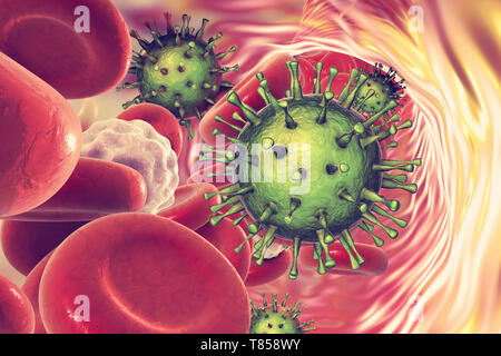 Cytomegaloviruses umana nel sangue, illustrazione Foto Stock