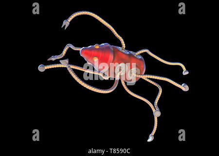 Medical nanorobot, illustrazione Foto Stock