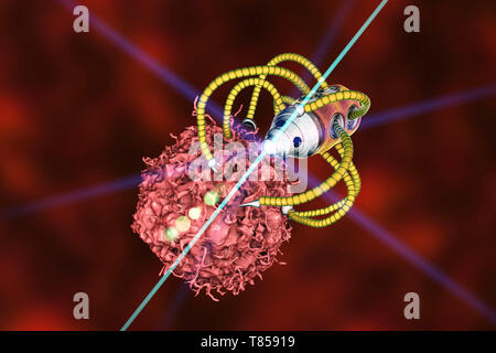 Nanorobots attaccando il cancro, illustrazione Foto Stock