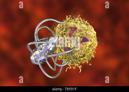 Nanorobots attaccando il cancro, illustrazione Foto Stock