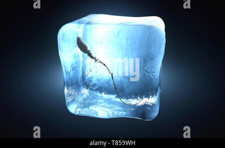 Lo sperma congelato, illustrazione concettuale Foto Stock