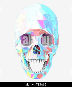 Cranio umano, illustrazione Foto Stock