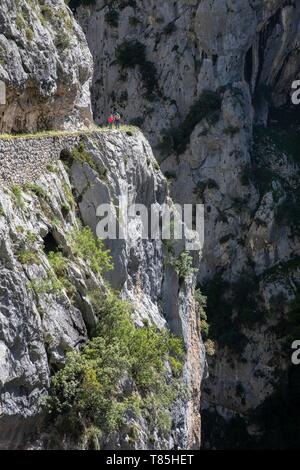 Spagna, delle Asturie, Parco Nazionale Picos de Europa, a Arenas de Cabrales, escursionisti sul sentiero Cares, Gola di Cares Foto Stock