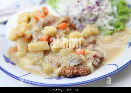 Riso al curry con carne di maiale fritto Foto Stock