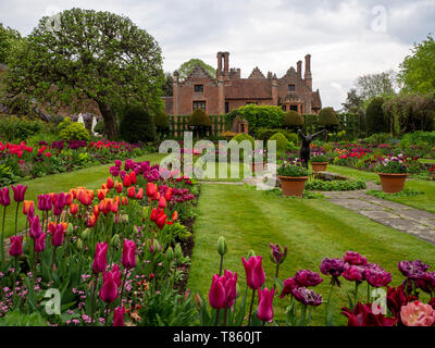 Chenies Manor House e Giardini ai primi di maggio; il sunken garden pranzo con vibrante viola, rosso e rosa tulipani con il laghetto ornamentale e di scultura, Foto Stock