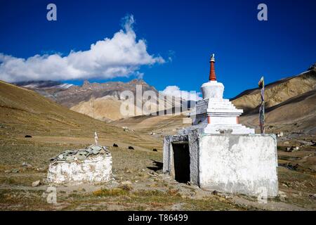 India, stato di Jammu e Kashmir, Himalaya, Ladakh e Zanskar, chörten vicino al villaggio di Photoksar (4120m) Foto Stock