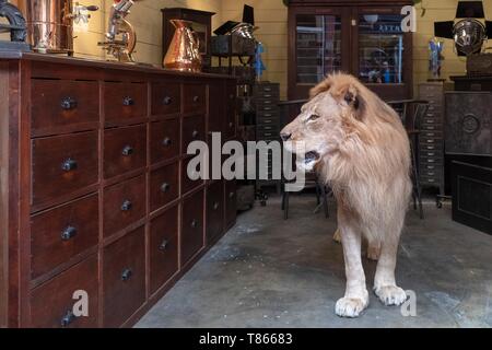 Francia, Seine Saint Denis, Saint Ouen, il mercato delle pulci, la delfina market, ripieni di Lion Foto Stock