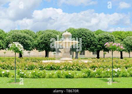 Francia, Yonne, Ancy le Franc, il giardino delle rose Foto Stock