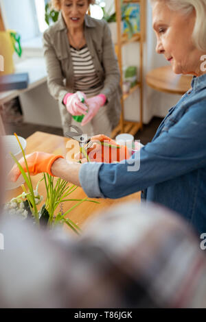 Piacevole donna senior usando un giardino potatore Foto Stock