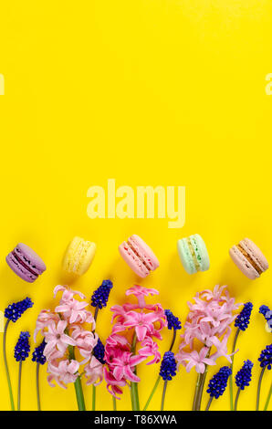 Muscari azzurro fiori rosa, giacinto e macarons o amaretti su sfondo giallo. Spazio per il testo. Parte superiore verso il basso. Lay piatto. Biglietto di auguri concept Foto Stock