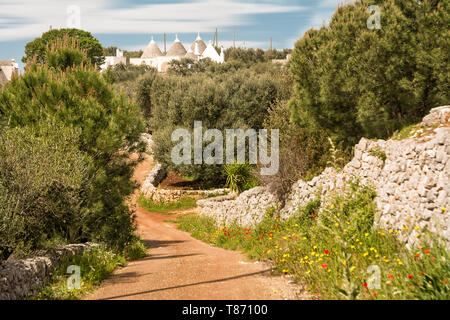 Paese pugliese road con muri in pietra e trulli in background Foto Stock