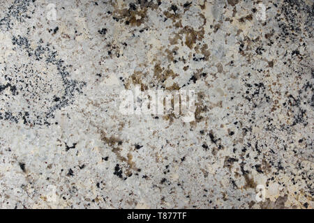 Pietra naturale granito grigio con macchie scure Foto Stock