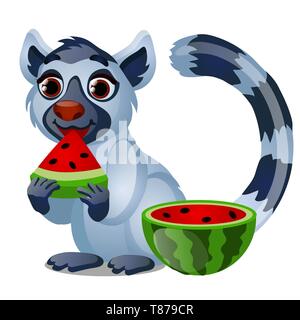 Lemure carino mangiare un maturo succosa anguria isolati su sfondo bianco. Vector cartoon close-up illustrazione. Illustrazione Vettoriale