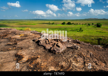 Vista spettacolare da Ubirr Rock in zone umide. Foto Stock