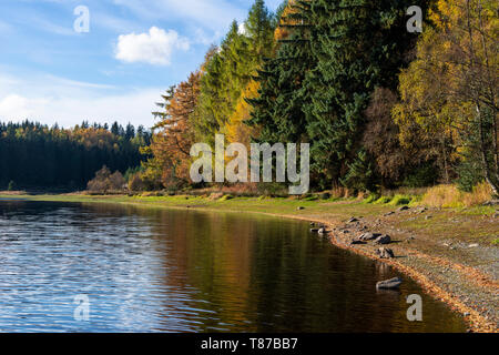 Vista lungo la riva del Loch Drunkie sul Achray Forest Drive nel Trossachs, Scotland, Regno Unito Foto Stock