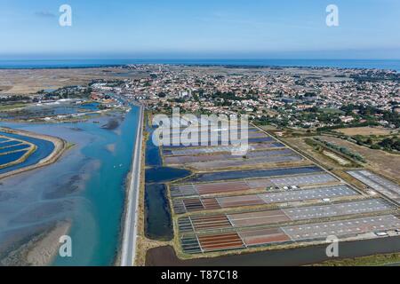 Francia, Vendee, Noirmoutier en l'Ile, le saline e la città (vista aerea) Foto Stock