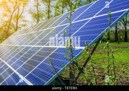 Pannello solare produce verde, rispettosi dell'ambiente energia dal sole. Foto Stock