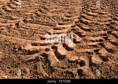 Ruota del trattore le tracce in argilla gialla sul campo, profonde tracce delle ruote in essiccato il suolo da un campo dopo il raccolto Foto Stock