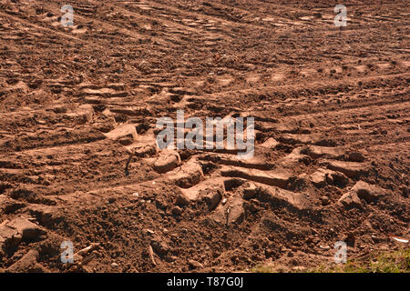 Tracce di pneumatici di un trattore, profonde tracce delle ruote in essiccato il suolo da un campo dopo il raccolto Foto Stock