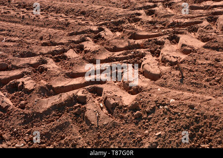 Ruota di profonde tracce nel terreno essiccati da un campo dopo il raccolto, ruota del trattore tracce nella sabbia rossa Foto Stock