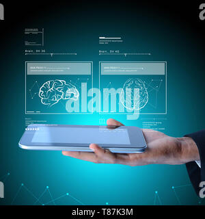 Cervello umano il concetto di sviluppo Foto Stock