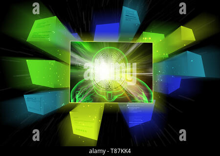 Cervello umano il concetto di sviluppo Foto Stock