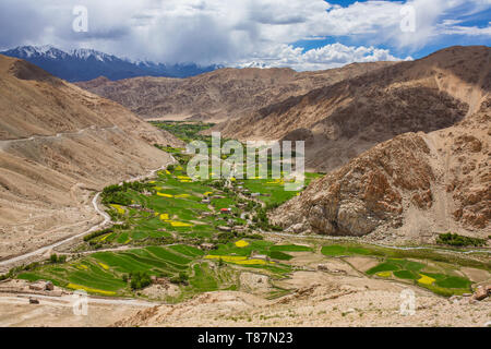 Bella verticale della verde valle nel distretto di Leh in estate, Ladakh Foto Stock