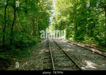 I binari della ferrovia su un letto di roccia che si allunga tra paesaggio forestale. Sfondo di foresta con illuminazione sun. Foto Stock