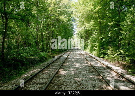 I binari della ferrovia su un letto di roccia che si allunga tra paesaggio forestale. Sfondo di foresta con illuminazione sun. Foto Stock