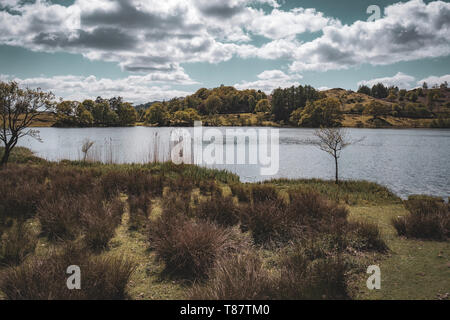 Loughrigg Tarn nel Lake District inglese Foto Stock