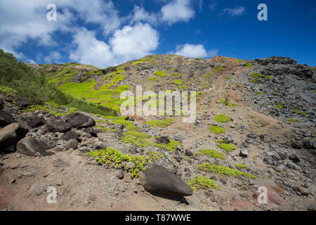 Rocce vicino la Nakalele Blowhole, Maui, Hawaii Foto Stock