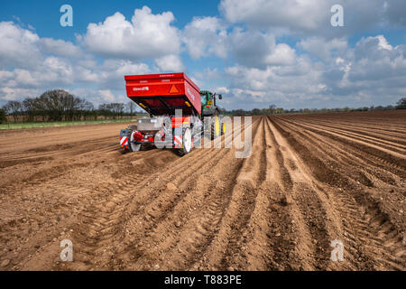 Ansimando meccanizzata dei tuberi seme di patate utilizzando un dewulf 3 fila piantatrice cintura dietro ad un trattore John Deere. Foto Stock