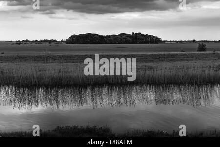 Vista sul fiume scafo con alti giunchi e terreni agricoli in distanza e cluster di alberi sulla mattina nuvoloso, Beverley, Yorkshire, Regno Unito. Foto Stock