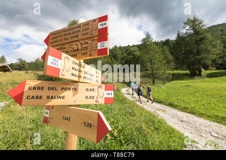 Escursionismo segnaletica, Val Canè, Temù, Valcamonica, provincia di Brescia, Lombardia, Italia Foto Stock